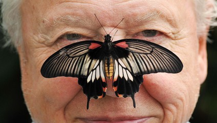 Sir David Attenborough oslavuje 100 rokov. Legendárny prírodovedec zmenil pohľad sveta na prírodu