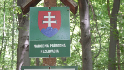 Lesníčky cestovali stovky kilometrov za našimi unikátnymi lesmi. Ich cieľom boli Poloniny