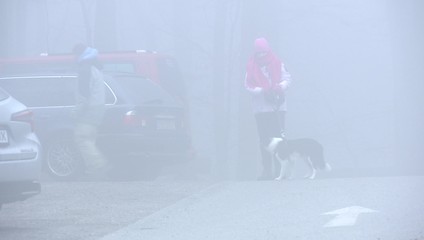 Slovensko v bielom: Posledné týždne viditeľnosť znižuje hustá hmla