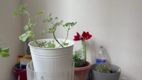 Oheň pod lupou: Preplnené chodby v panelákoch môžu stáť život. Čo nesmie byť na únikovej ceste?