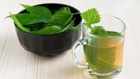 Túto bylinu nájdete všade: Podporuje vylučovanie inzulínu a chráni pečeň