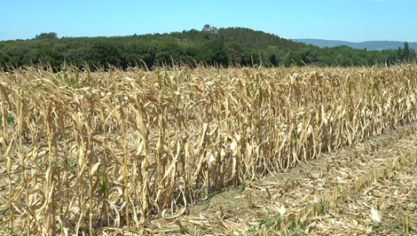 EÚ má prvú legislatívu o pôde. Vytvorí sa zoznam kontaminovaných pôd