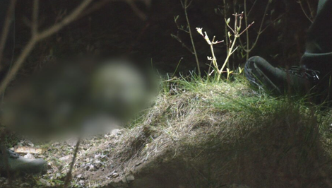 Mrazivý objav počas prechádzky: Kostra ležala v lese minimálne tri roky