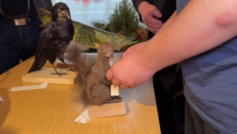 Deti so zrakovým postihnutím môžu spoznávať tatranskú prírodu dotykom exponátov