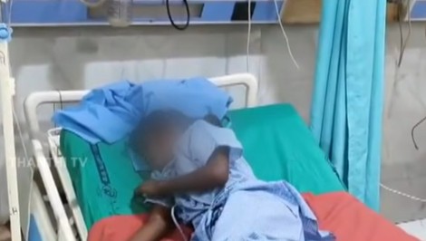 Tragédia na internáte: Jedovatý had pohrýzol šesť spiacich dievčat, tri zomreli