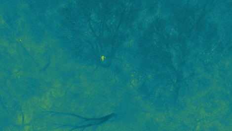 Polícia našla nezvestného seniora vďaka dronu, zasiahli v poslednej chvíli