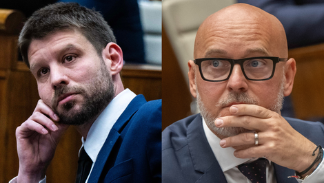 SaS chce ísť do volieb samostatne, Šimečka má iný názor