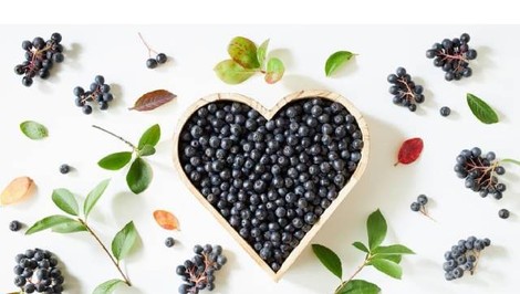 Kráľovná antioxidantov, ktorá zaujala aj vedcov: "Prečo je slovenská arónia  číslo 1 na vašu imunitu?!“