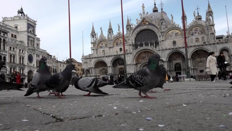 Rusko späť na Bienále? EÚ hrozí Benátkam odobratím grantu