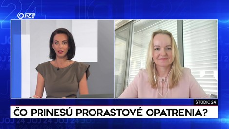 Hallová: Vláda mohla byť odvážnejšia. Prorastové opatrenia ekonomiku nenaštartujú