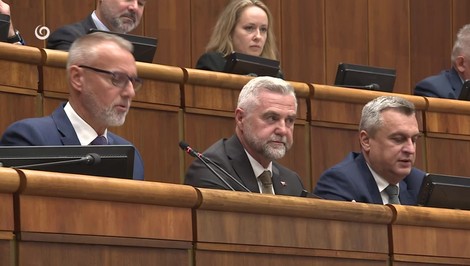 Voľby zo zahraničia: Koalícia sa snaží o dohodu už mesiace