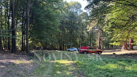 Ohavný nález: V lese našli obhorené ľudské telo