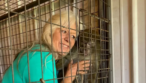 Pestúnka mala poslať dievča do iného štátu výmenou za opicu. Žena (70) do väzenia nepôjde