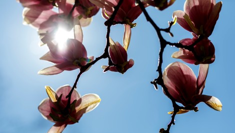 Slovensko čaká výrazné oteplenie. Budúci týždeň prinesie letné dni