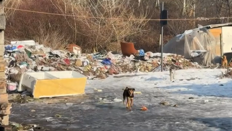 Hrôza v Kolárove: Psa našli uhynutého na reťazi v torze starej chladničke