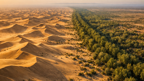Čína postavila nový „Veľký múr“: Nie z kameňa, ale zo stromov