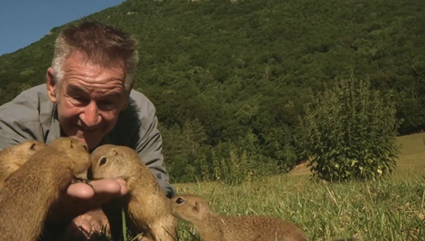 Modré žaby, sysle aj rysy: Britský dokumentarista Nigel Marven dokončil druhý film o Slovensku