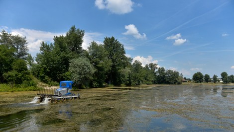 Na Zelenej vode našli mŕtvolu. Prípad rieši polícia