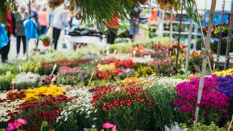 Do Nitry za nábytkom a kvetmi! Už 15.4. štartuje veľtrh Nábytok a Bývanie & Gardenia 2026