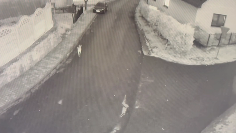 Veterinár mal zastreliť 11-mesačné šteňa kvôli agresivite. Prípad vyšetruje enviro polícia