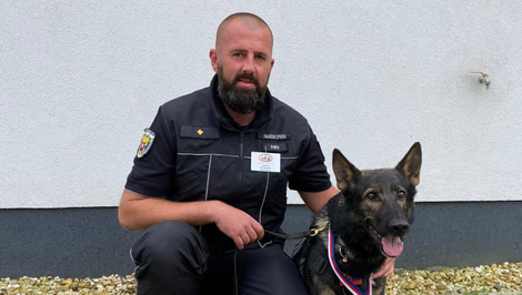Parťák na celý život: Nemecký ovčiak Casper a jeho psovod sa stali majstrami Európy v kynológii