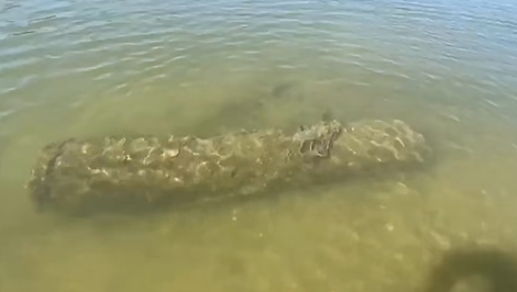 V rieke Dunaj objavili ďalšiu lodnú mínu dlhú približne 2 metre