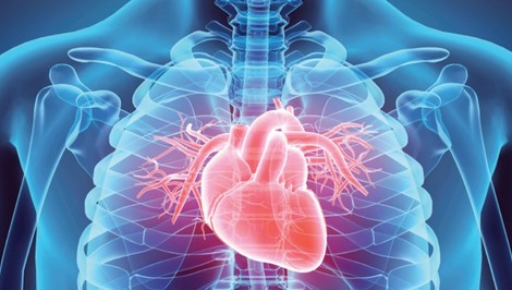 Supermoderný EKG prístroj pomôže deťom i dospelým s chorým srdcom
