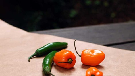 Aj oči by jedli: TÝCHTO 10 potravín je výborných pre váš zrak