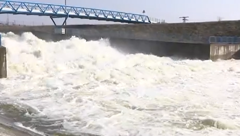 Dunajské luhy ožili: Umelé záplavy oživujú staré ramená Dunaja