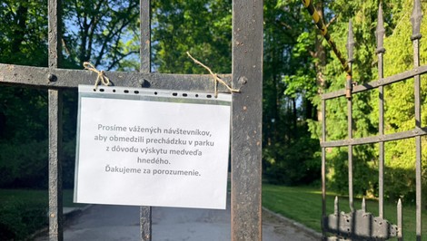 Pri kaštieli Betliar zaznamenali medveďa. Park uzatvorili a prehľadáva ho zásahový tím