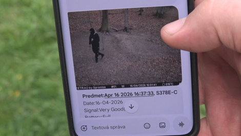 Bez povolenia, no s cieľom zarobiť: Fotopasca zachytila maskovaných mužov, z lesa odnášali parožie