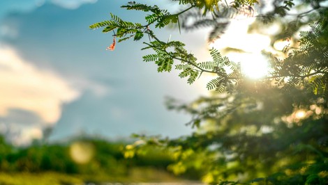 Piatok trinásteho prinesie až 18°C