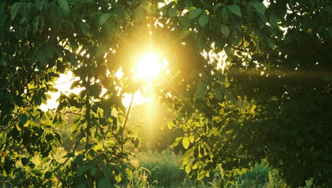 Počasie poslednej aprílovej nedele