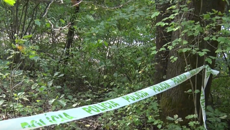 Turista našiel v lese pri Starej Turej kostrové pozostatky. V lese mohli ležať celé roky