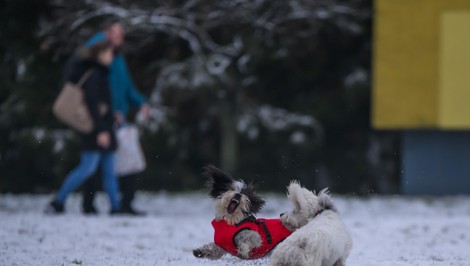 Čoskoro sa prebudíme do zasneženej krajiny. Zmena počasia prinesie aj náhly pokles teplôt