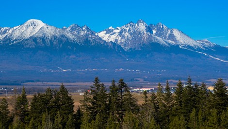 Rekordne skorý ekologický dlh: WWF bije na poplach, Slovensko vyčerpalo prírodné zdroje na celý rok už teraz