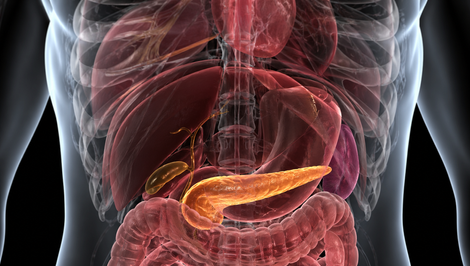 Úžasný úspech českých vedcov: Vynašli krvný test, ktorým dokážu odhaliť, komu hrozí rakovina pankreasu!