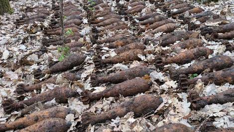 Pyrotechnici zasahovali hodiny: V lese našli 180 funkčných mín