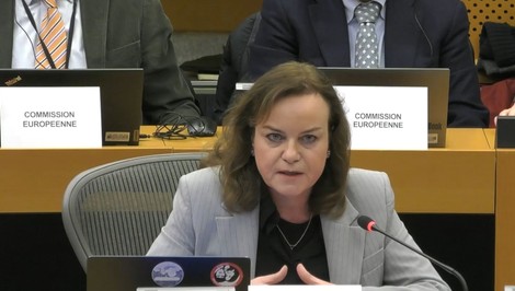 Petková na výbore ku kauze haciend: „Sme tu preto, lebo sme vlastenci“