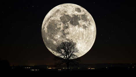 Rusko plánuje do roku 2036 postaviť na Mesiaci jadrovú elektráreň