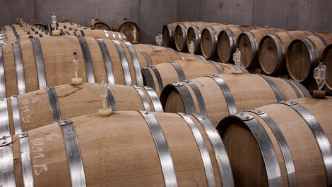 Aj víno podlieha móde.  Slovensko pozná to najlepšie vinárstvo pre rok 2019