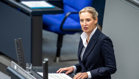 Hackeri zverejnili vyše 420-tisíc e-mailov AfD. Uniknuté správy spochybňujú tvrdenia jej líderky