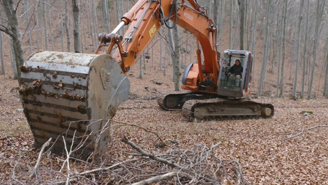 Lesné vodozádržné opatrenia dokážu absorbovať milióny litrov vody a znižujú riziko záplav