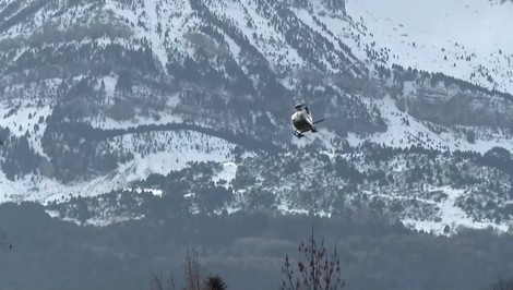 Traja ľudia zahynuli v dôsledku lavíny v španielskych Pyrenejach