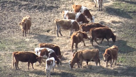 Zrušili obľúbené školské hospodárstvo. Žiaci školy sú sklamaní