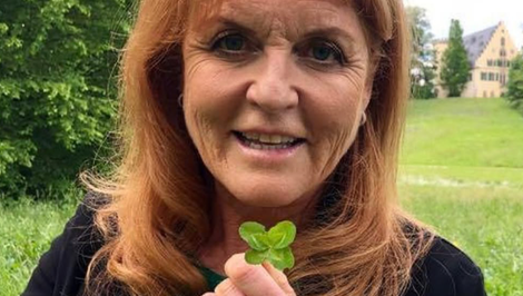 Útek po škandále s Epsteinom: Bývalá vojvodkyňa sa skrýva u našich susedov!