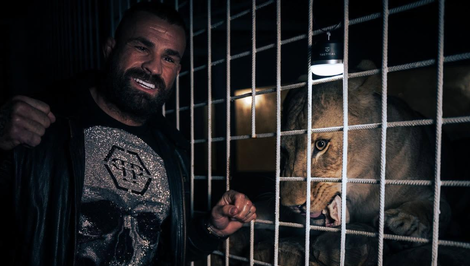 Úrady odobrali zápasníkovi Vémolovi levicu Elsu. Premiestnia ju do Zoo Liberec