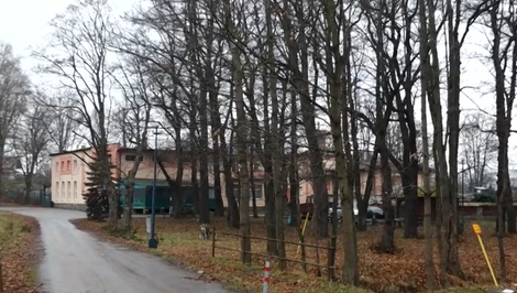 Diana po útoku skončila v kóme a podľahla zraneniam. V prípade padlo obvinenie