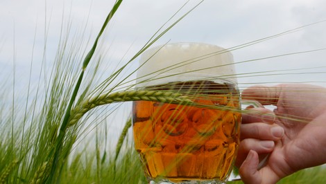 Z obchodov môže zmiznúť známe nemecké pivo. Tradičný pivovar bojuje o prežitie