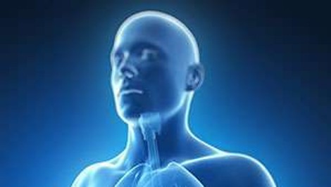 Zápal pankreasu môže zabíjať: Spúšťa ho mastné jedlo, sladkosti, alkohol